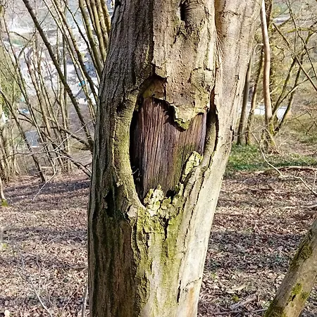 Casa vacanze L'esquirol *