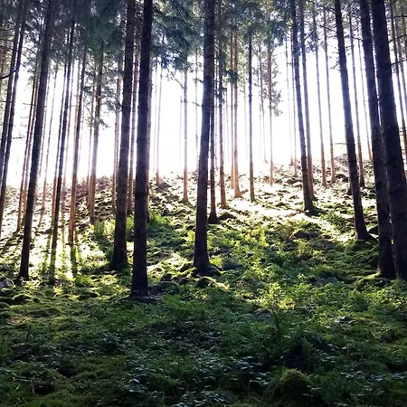 L'esquirol * Waulsort