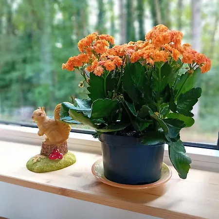 Casa vacanze L'esquirol Waulsort