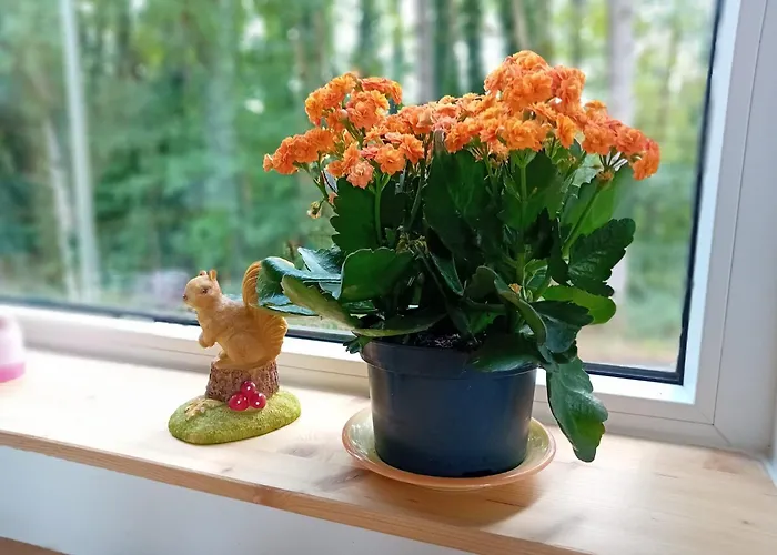 Hébergement de vacances L'esquirol Waulsort